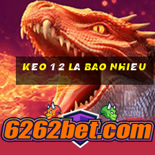 kèo 1 2 là bao nhiêu