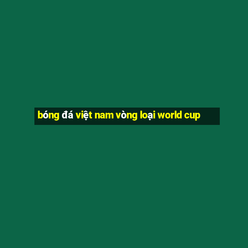 bóng đá việt nam vòng loại world cup