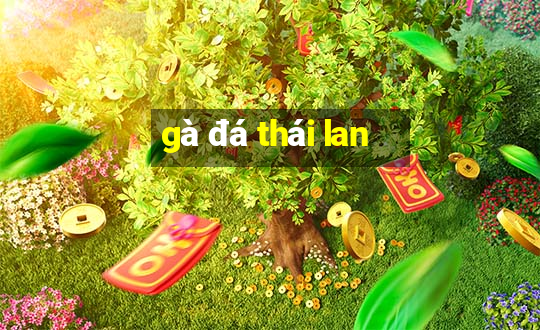 gà đá thái lan