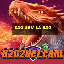 Báo sâm là sao