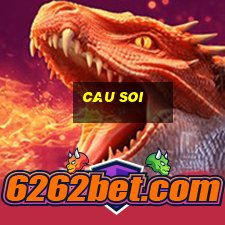 cau soi