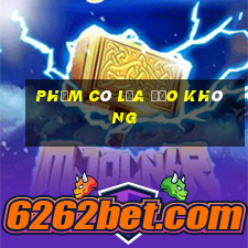 Phỏm có lừa đảo không