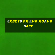 8Xbet6 phượng hoàng 6app