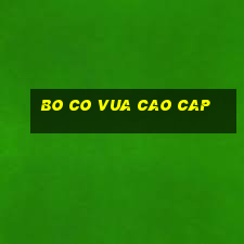 bo co vua cao cap