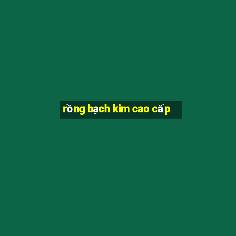 rồng bạch kim cao cấp