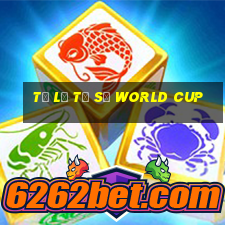 tỷ lệ tỷ số world cup