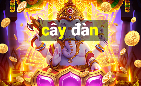 cây đàn