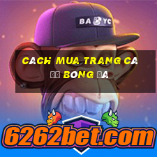 cách mua trang cá độ bóng đá