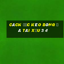 cách đọc kèo bóng đá tài xỉu 3 4