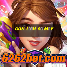 con lươn số mấy