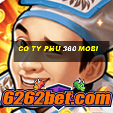 co ty phu 360 mobi