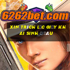 xin trích lục giấy khai sinh ở đâu