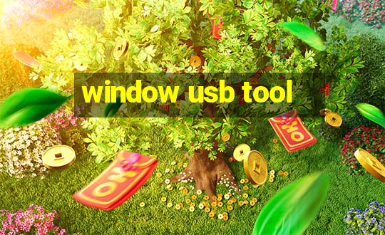 window usb tool