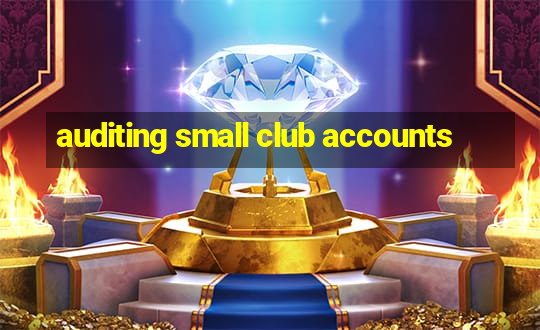 auditing small club accounts