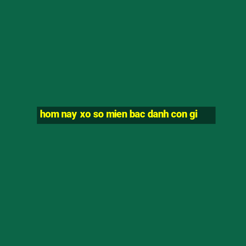 hom nay xo so mien bac danh con gi