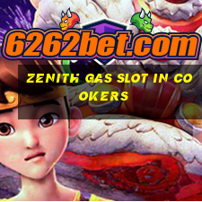 zenith gas slot in cookers