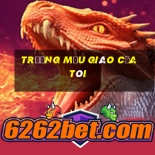 trường mẫu giáo của tôi