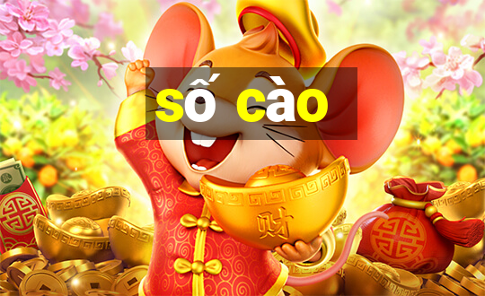 số cào