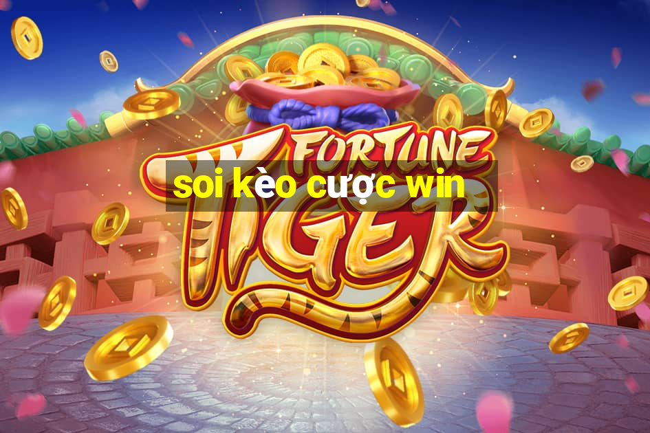 soi kèo cược win