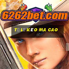 tỷ lệ kèo ma cao