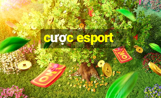 cược esport