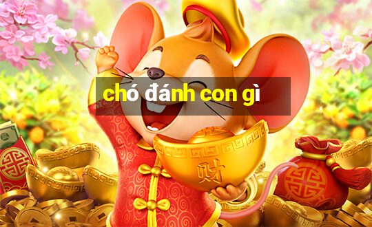 chó đánh con gì