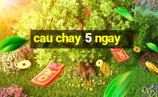 cau chay 5 ngay