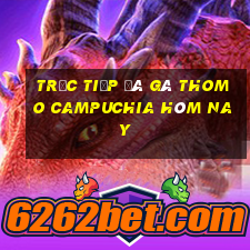 trực tiếp đá gà thomo campuchia hôm nay