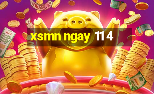 xsmn ngay 11 4