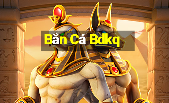 Bắn Cá Bdkq