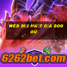 wed mới nhất của BOGou