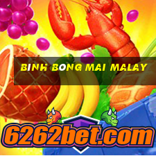 bình bông mai malay