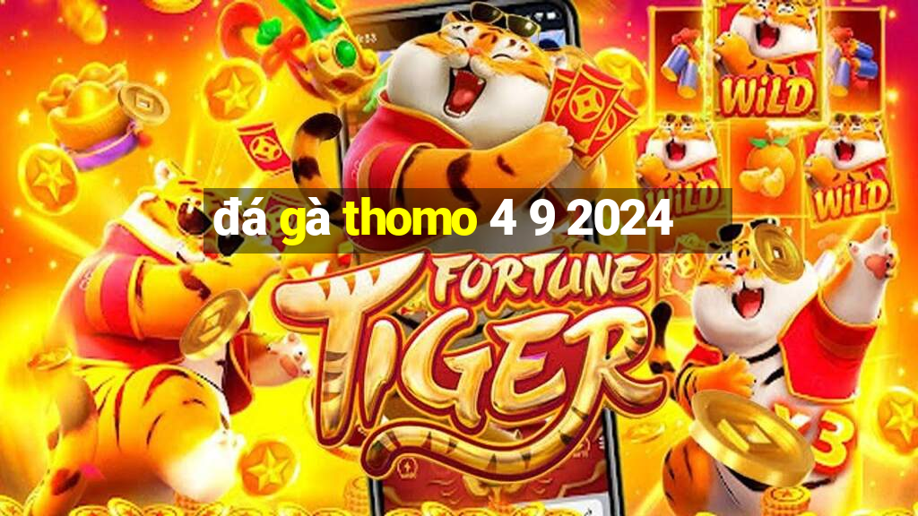 đá gà thomo 4 9 2024