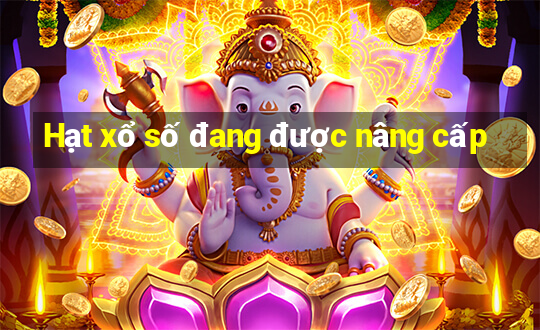 Hạt xổ số đang được nâng cấp