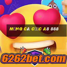 Mạng cá cược a8 888