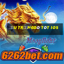 Đấu trườngBò tót ios