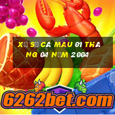 xổ số cà mau 01 tháng 04 năm 2004