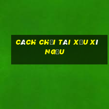 cách chơi tài xỉu xí ngầu