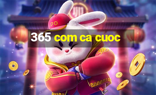 365 com ca cuoc