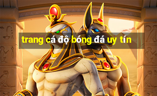 trang cá độ bóng đá uy tín