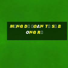 Mạng dự đoán tỷ số bóng rổ