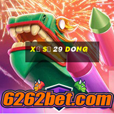 xổ số 29 dòng