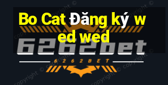 Bo Cat Đăng ký wed wed