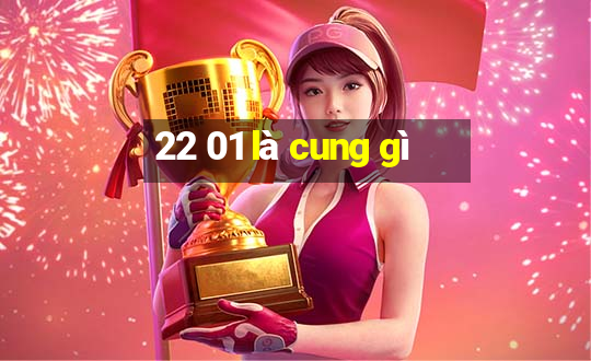 22 01 là cung gì