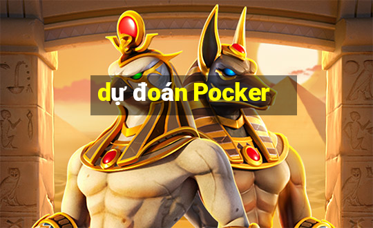 dự đoán Pocker