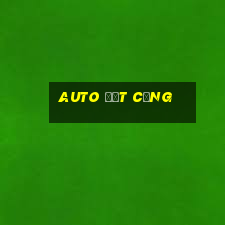 auto đất cảng