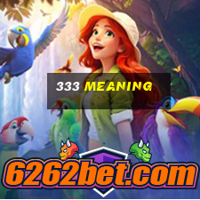 333 meaning