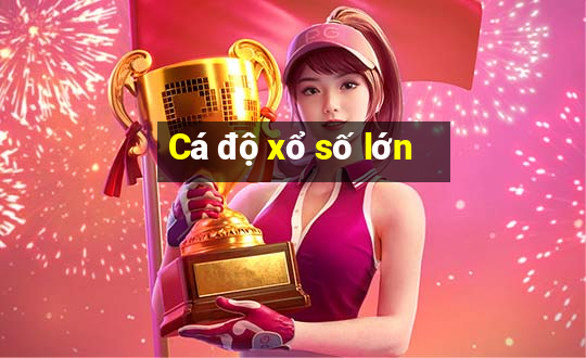 Cá độ xổ số lớn