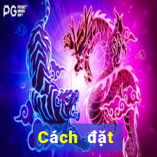 Cách đặt cược XSTB ngày 12