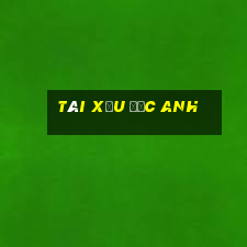 tài xỉu đức anh